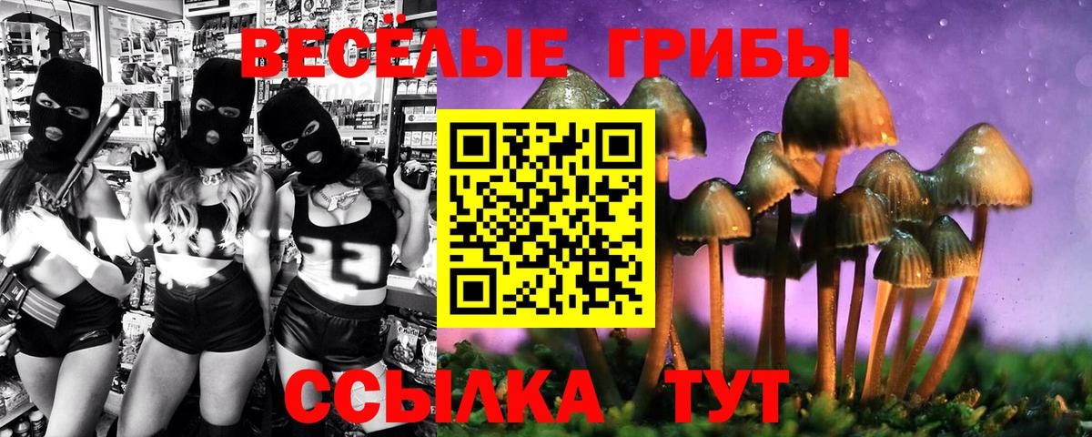 Галлюциногенные грибы мухоморы  Вход с VPN  Ессентуки 